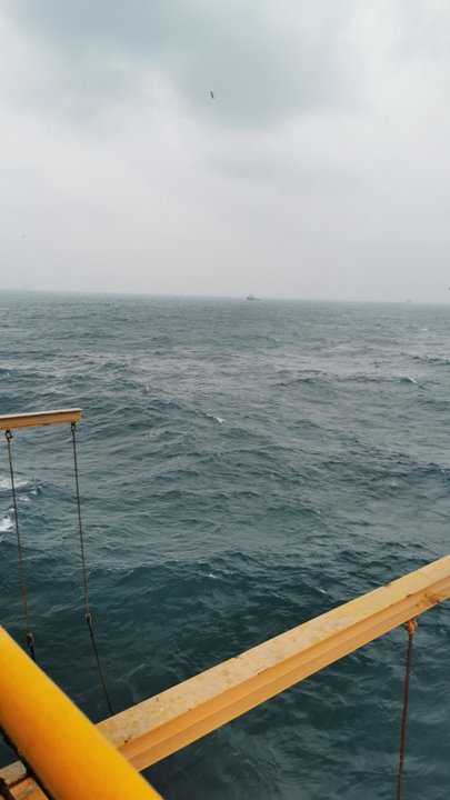 مشاركاتي في أنت الراصد