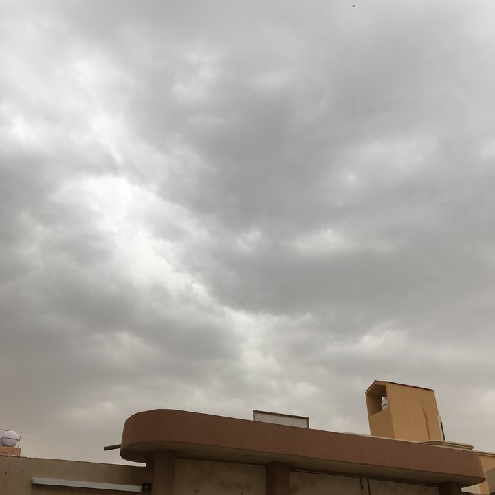 مشاركاتي في أنت الراصد