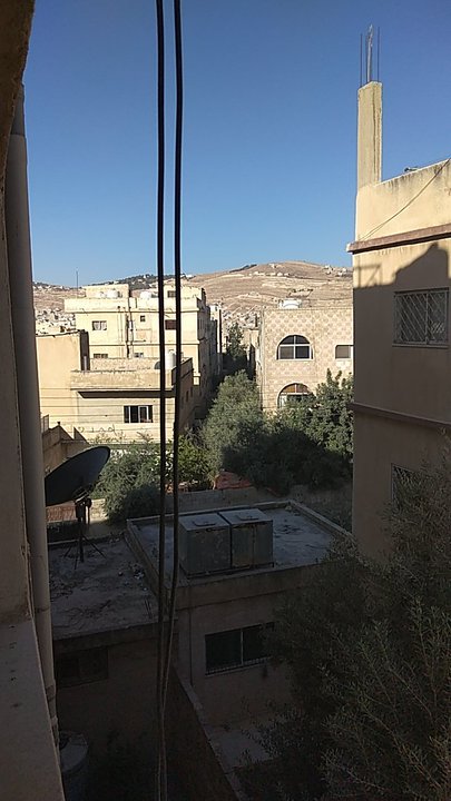 مشاركاتي في أنت الراصد