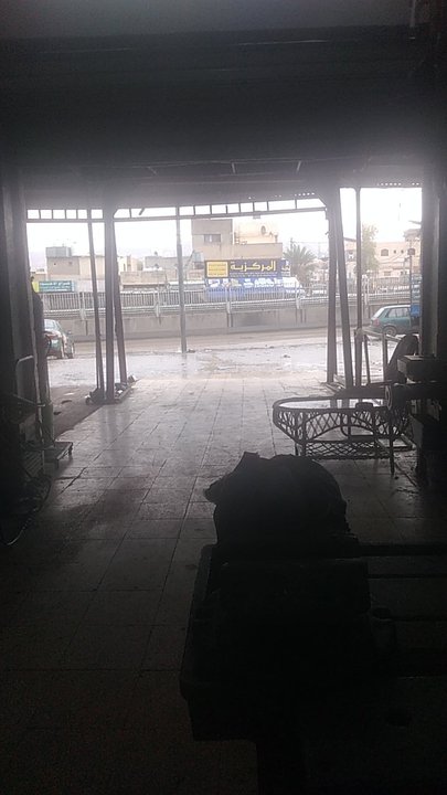 مشاركاتي في أنت الراصد