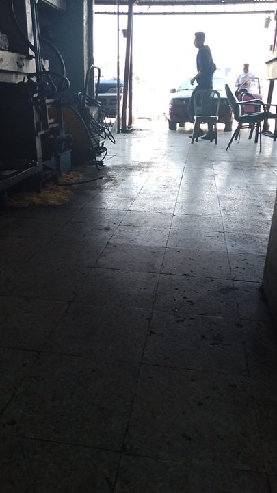 مشاركاتي في أنت الراصد