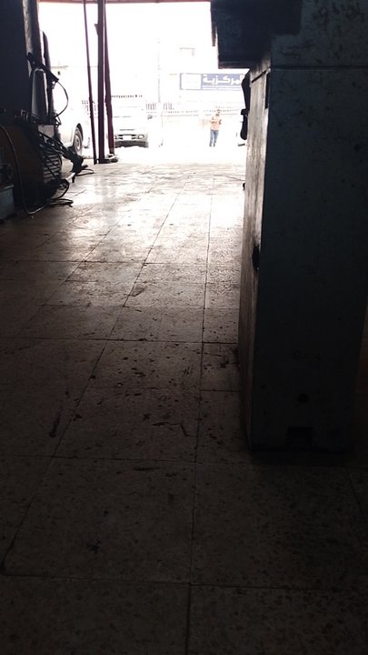 مشاركاتي في أنت الراصد