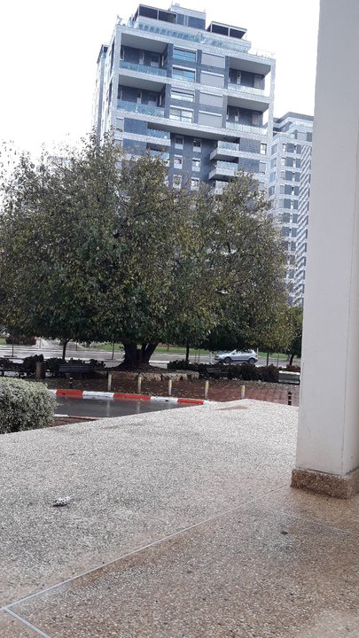 Mes publications Crowdsourcing