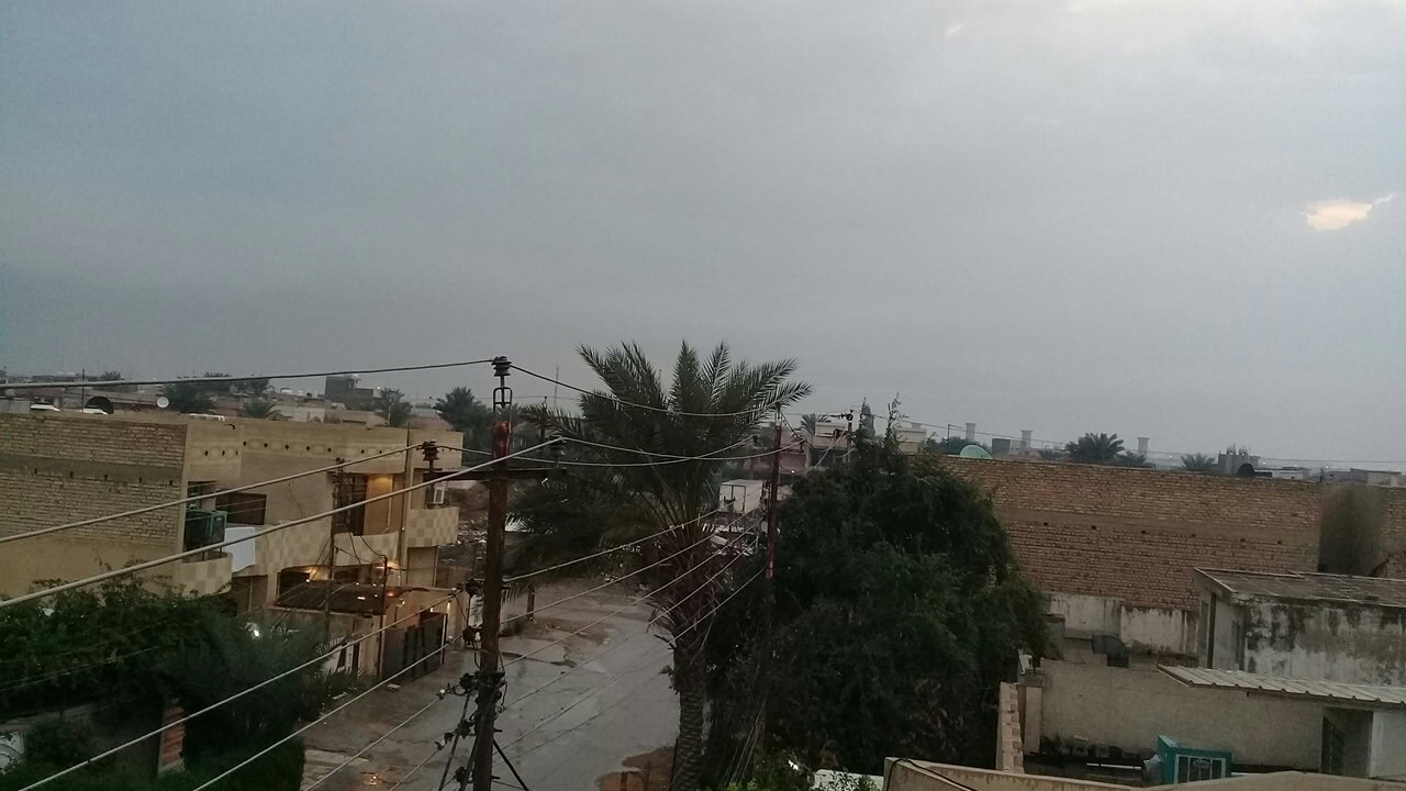 مشاركاتي في أنت الراصد