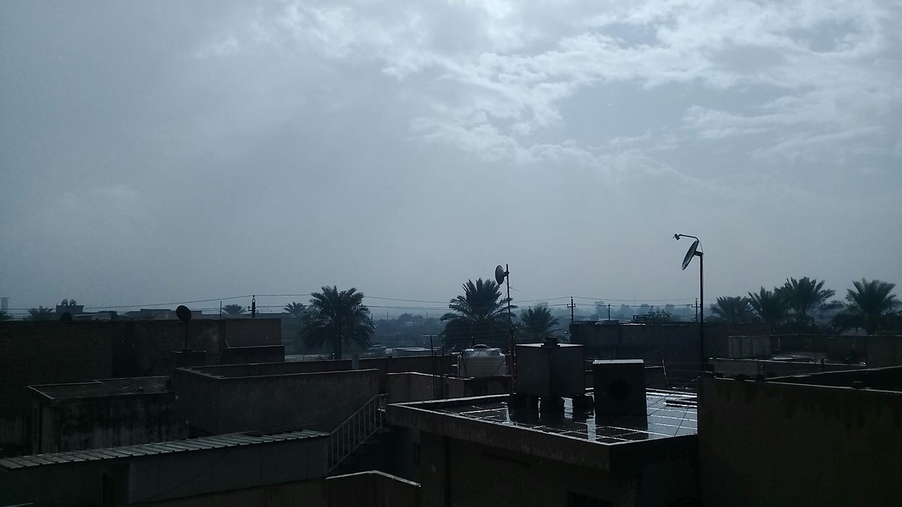 مشاركاتي في أنت الراصد