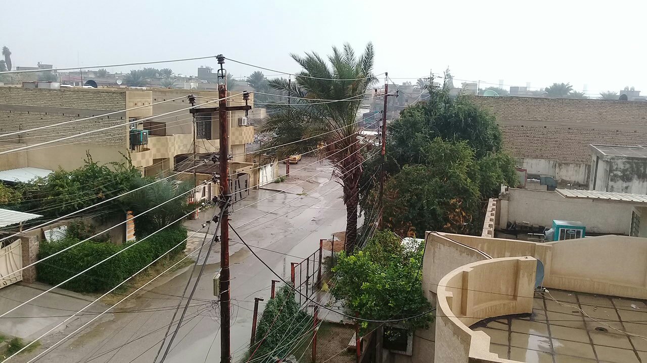 مشاركاتي في أنت الراصد