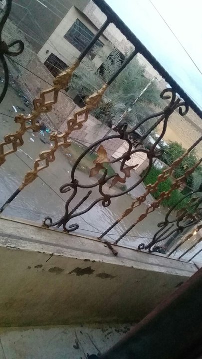 مشاركاتي في أنت الراصد