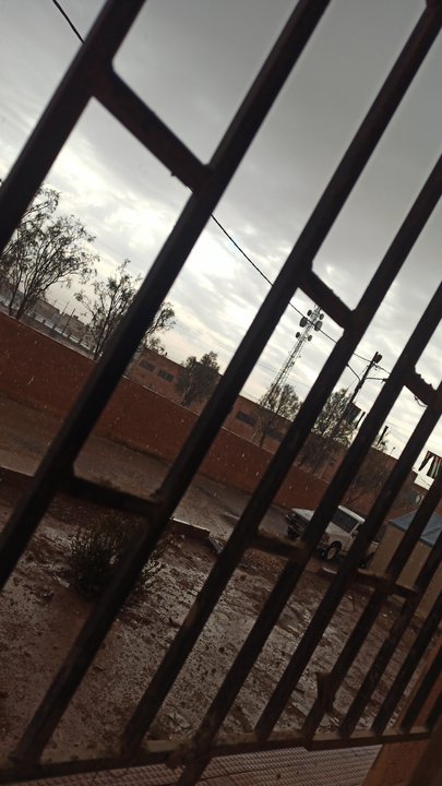 مشاركاتي في أنت الراصد