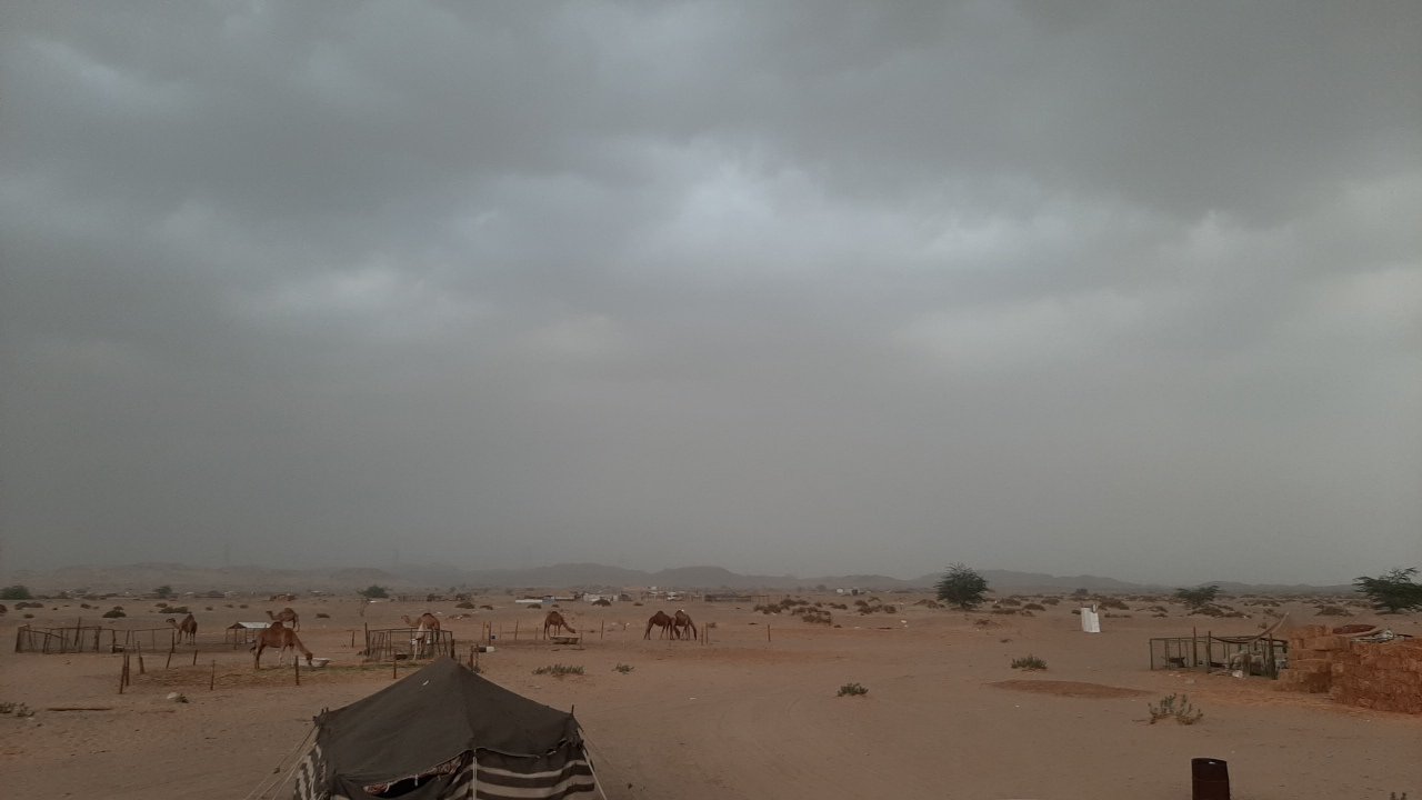 مشاركاتي في أنت الراصد