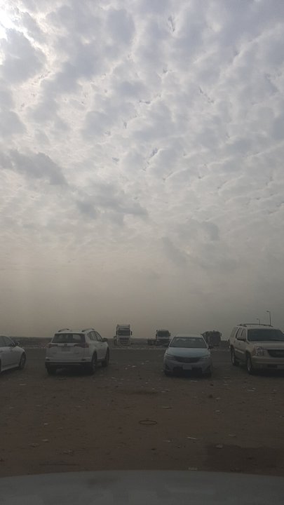 مشاركاتي في أنت الراصد