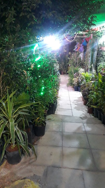 مشاركاتي في أنت الراصد