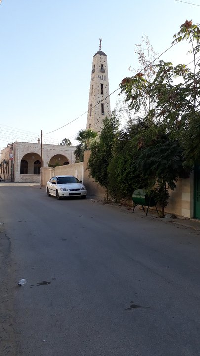 مشاركاتي في أنت الراصد