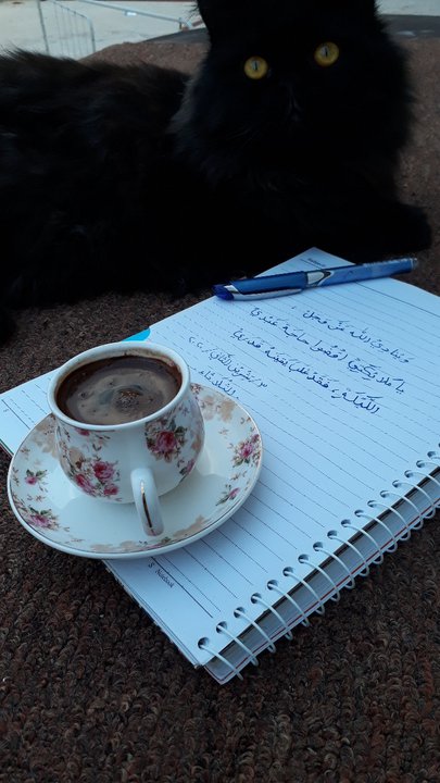 مشاركاتي في أنت الراصد