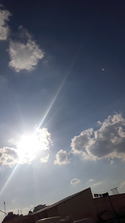 مشاركاتي في أنت الراصد