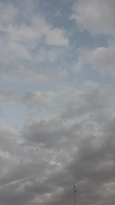 مشاركاتي في أنت الراصد