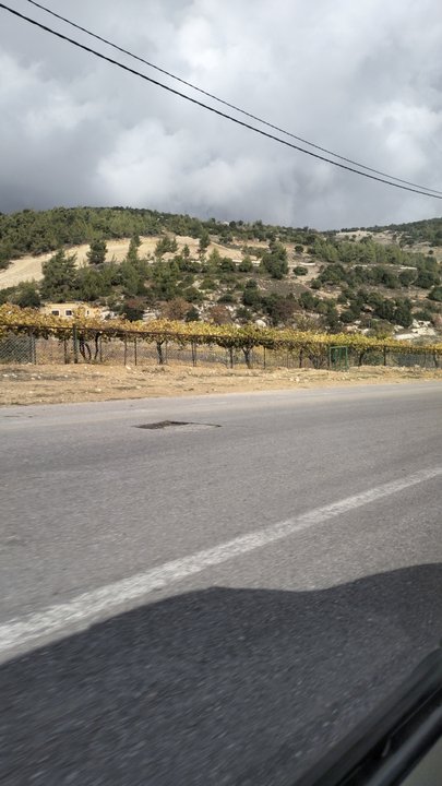 مشاركاتي في أنت الراصد