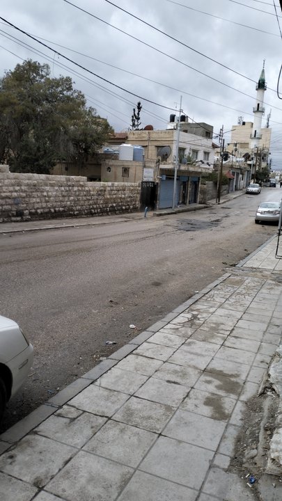 مشاركاتي في أنت الراصد