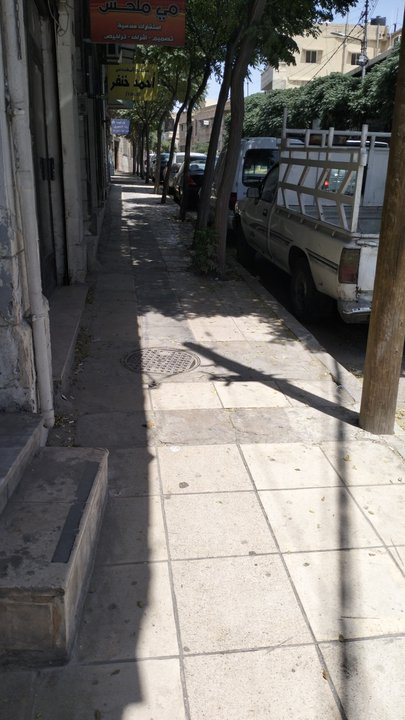 مشاركاتي في أنت الراصد