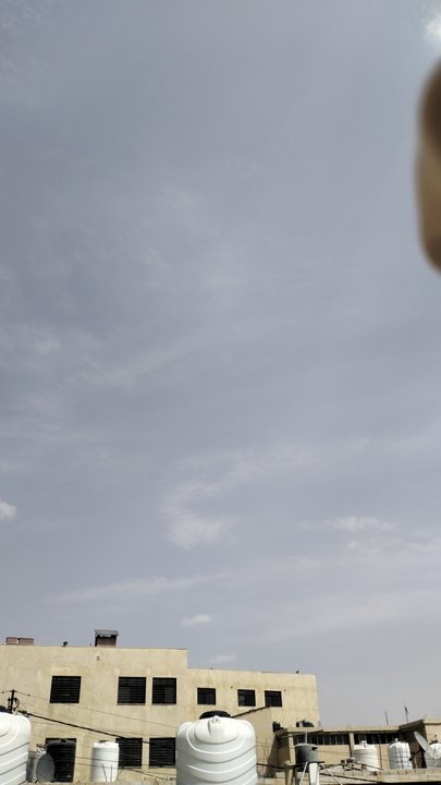 مشاركاتي في أنت الراصد