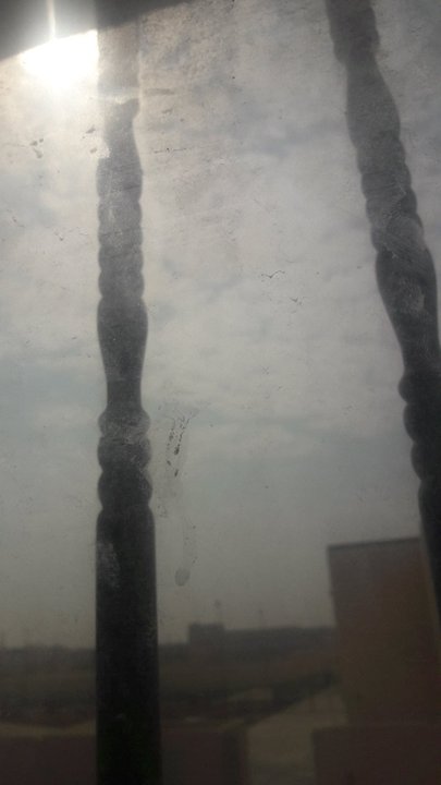 مشاركاتي في أنت الراصد