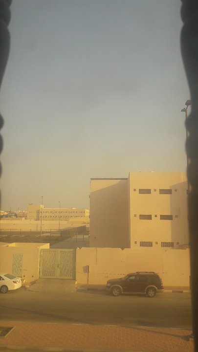 مشاركاتي في أنت الراصد