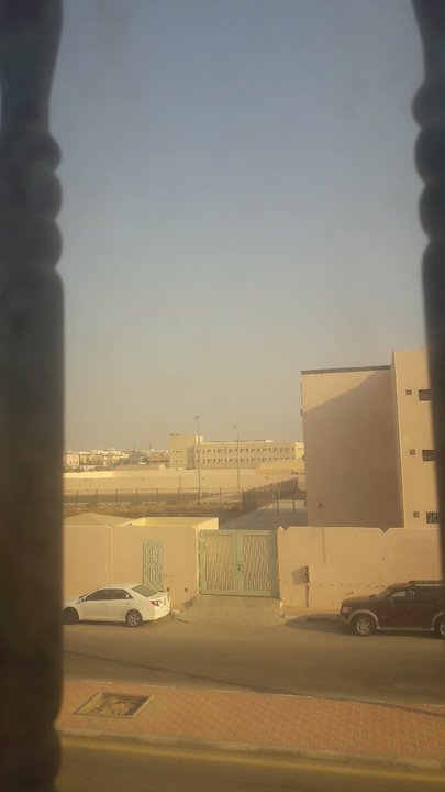 مشاركاتي في أنت الراصد