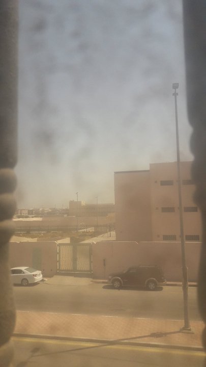 مشاركاتي في أنت الراصد