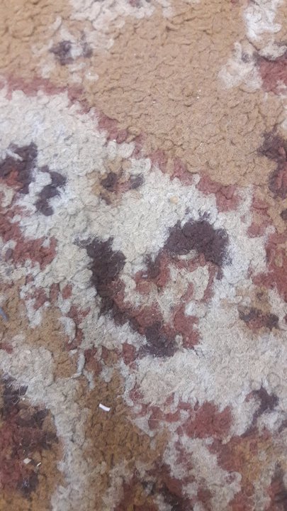 My Crowdsourcing Posts