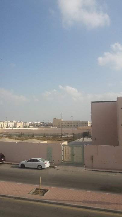 مشاركاتي في أنت الراصد