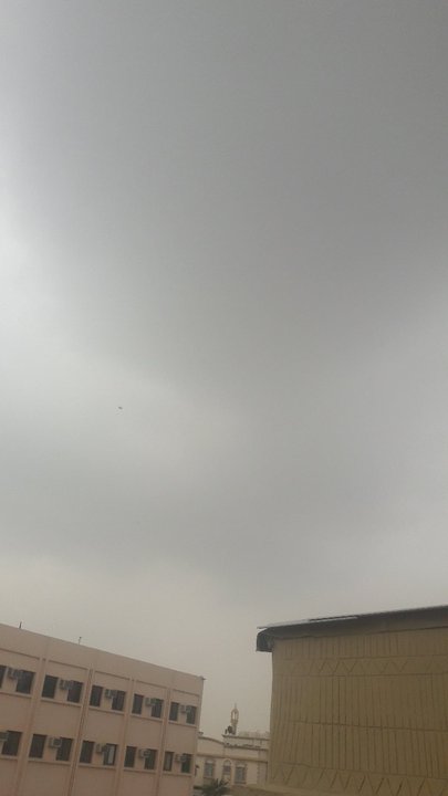 مشاركاتي في أنت الراصد