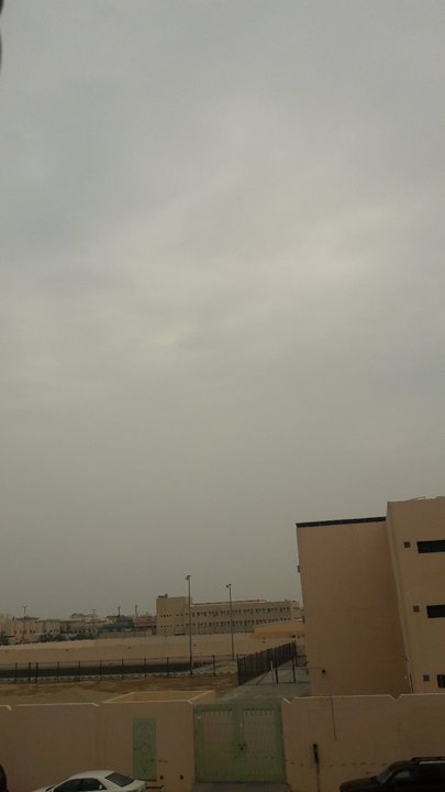 مشاركاتي في أنت الراصد