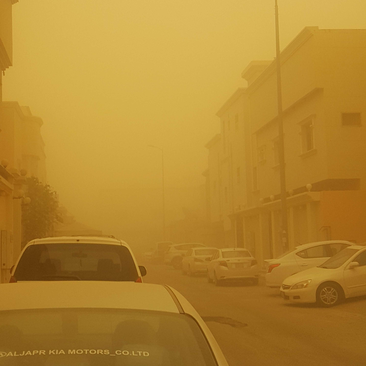 مشاركاتي في أنت الراصد