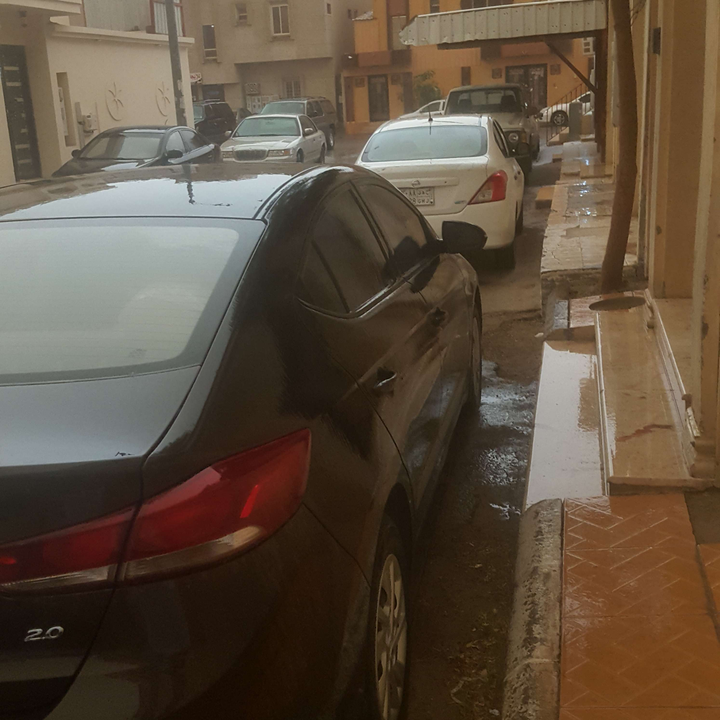 مشاركاتي في أنت الراصد