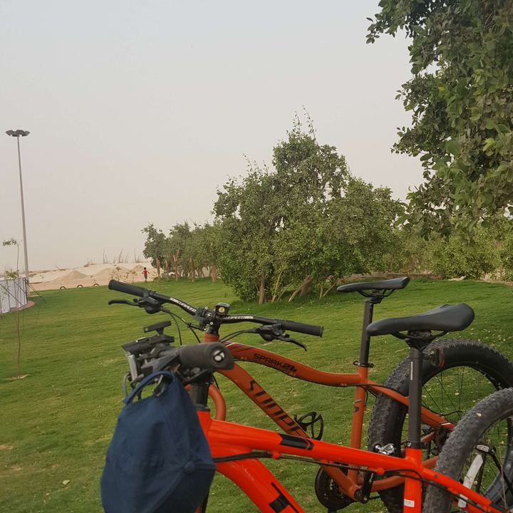 مشاركاتي في أنت الراصد