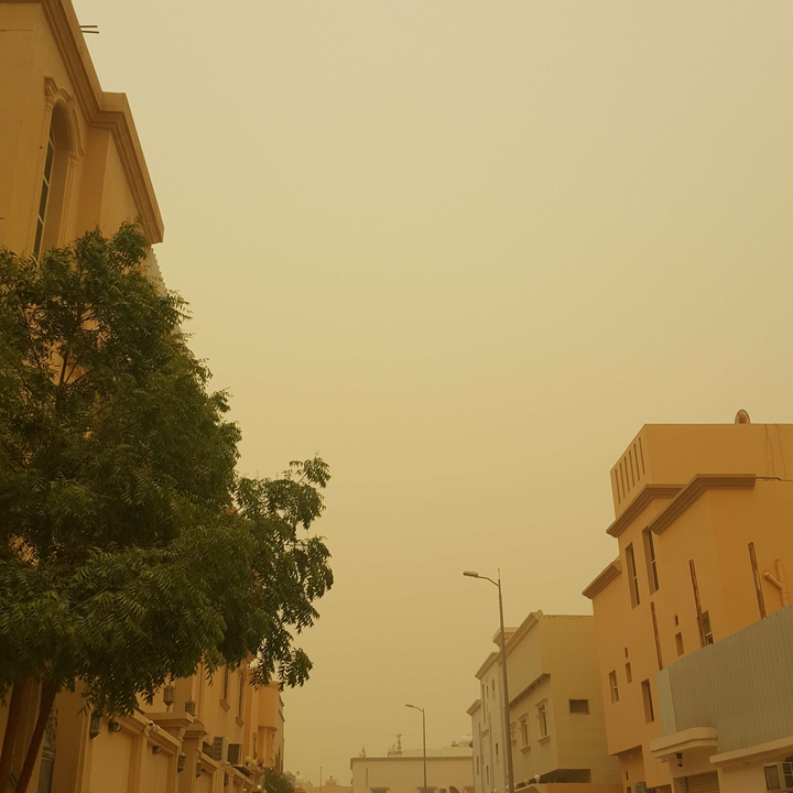 مشاركاتي في أنت الراصد