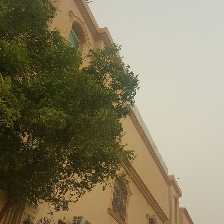 مشاركاتي في أنت الراصد