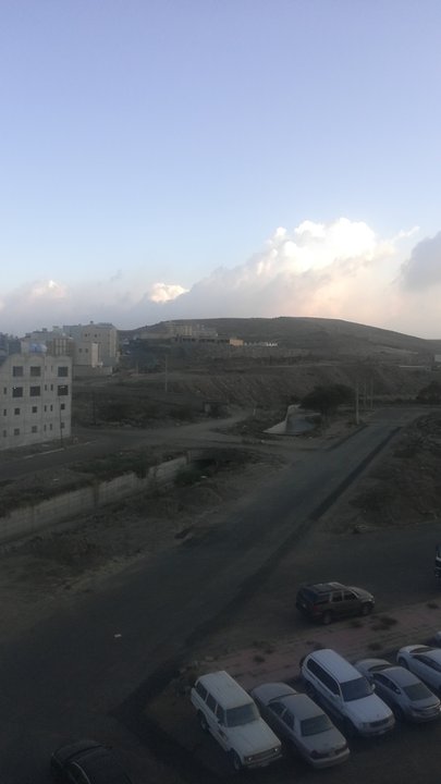 مشاركاتي في أنت الراصد