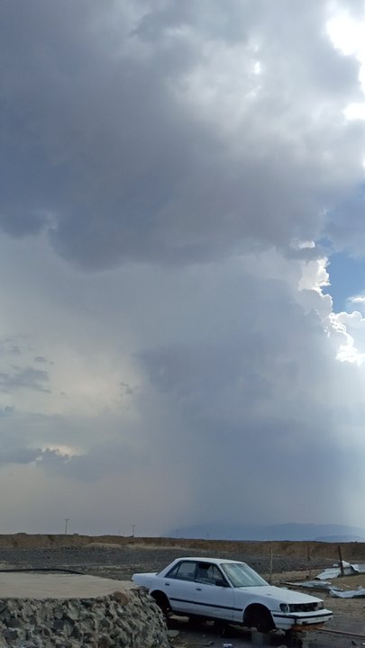 مشاركاتي في أنت الراصد