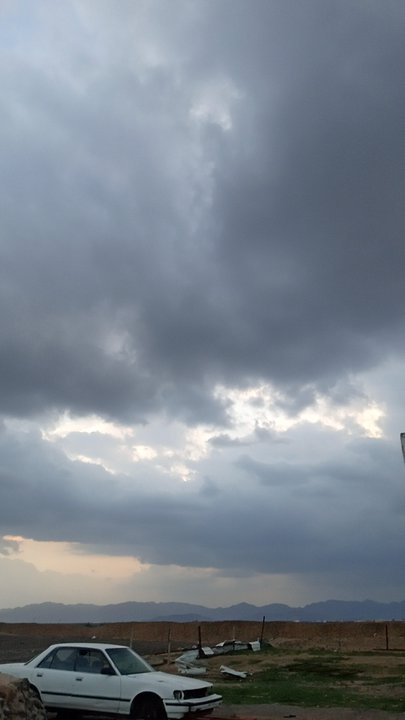 مشاركاتي في أنت الراصد