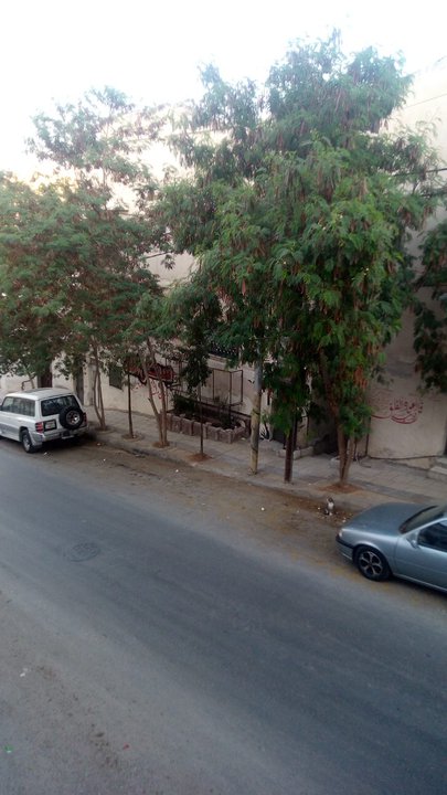 مشاركاتي في أنت الراصد