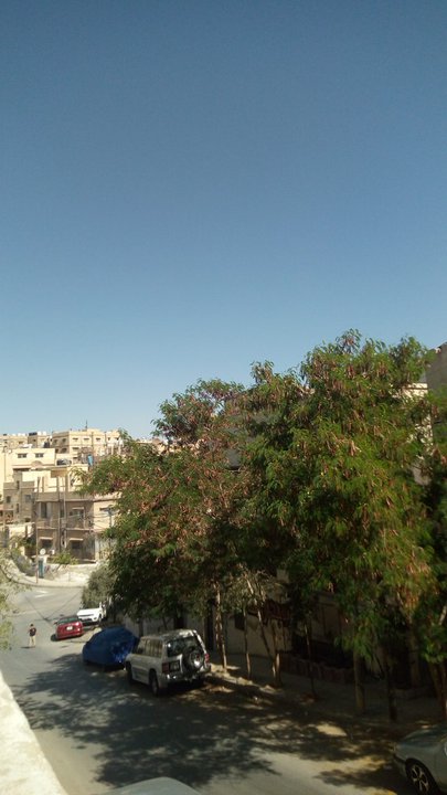 مشاركاتي في أنت الراصد