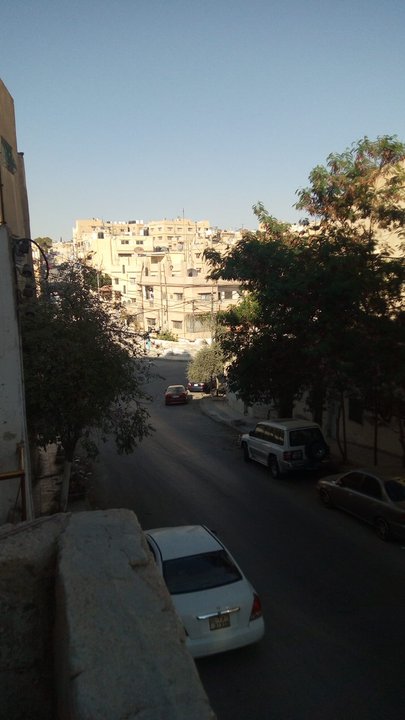 مشاركاتي في أنت الراصد