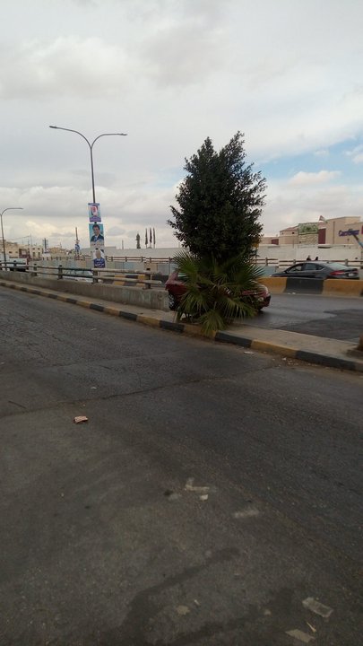 مشاركاتي في أنت الراصد