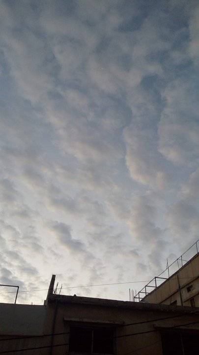 مشاركاتي في أنت الراصد