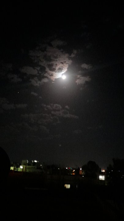 مشاركاتي في أنت الراصد