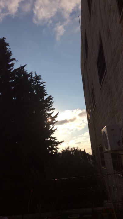 مشاركاتي في أنت الراصد