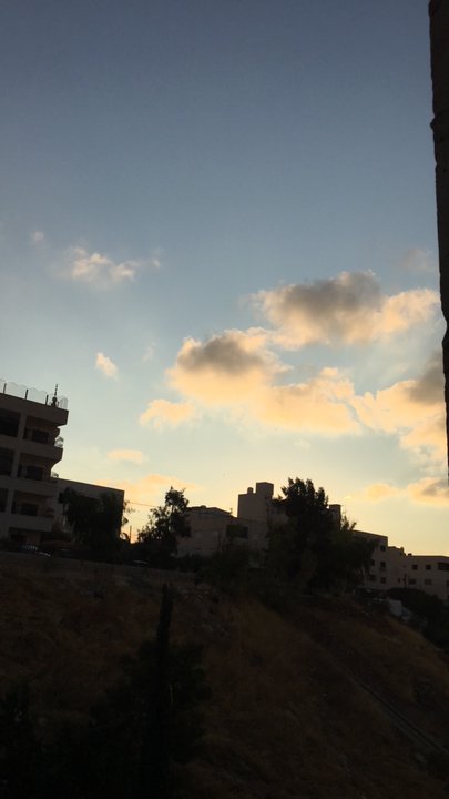 مشاركاتي في أنت الراصد