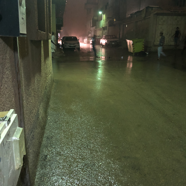 مشاركاتي في أنت الراصد