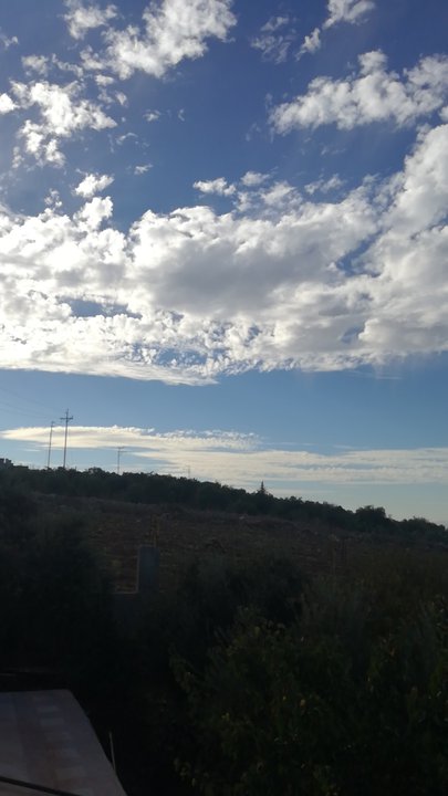 مشاركاتي في أنت الراصد