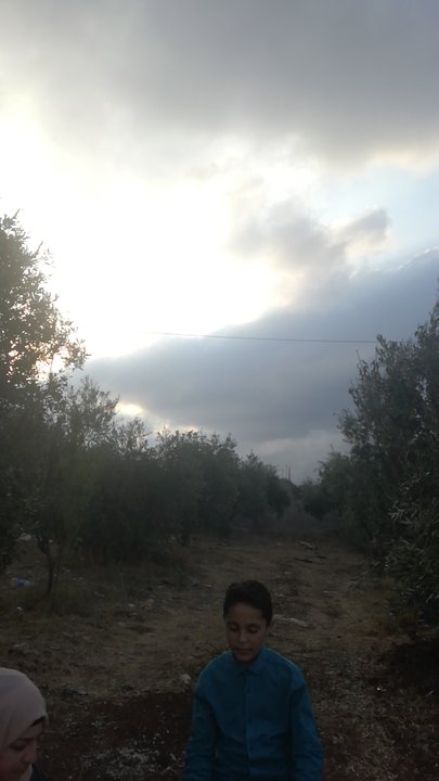 مشاركاتي في أنت الراصد